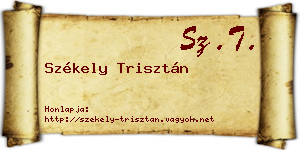Székely Trisztán névjegykártya